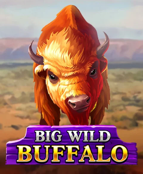 Play Big Wild Buffalo at Spin Hill Casino